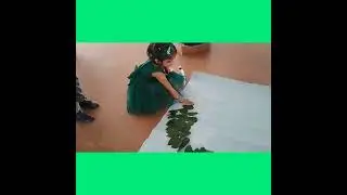 Green day at Balamandir