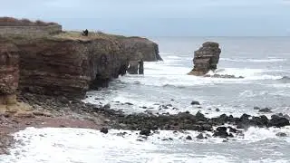 Video1
