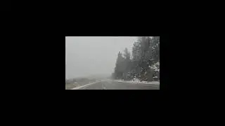 #SnowyDrive#FlagstaffAdventures#WinterRoadTrip#SnowInArizona#FlagstaffVibes #snowy ☃️❄️🏔✨️🌟 #shorts