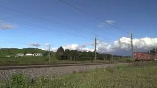 KiwiRail DL led shorty...