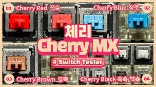 ❓👀Cherry Switches Sound TestㅣReview ( Cherry Silent Switches/Cherry Red/Cherry Brown/Cherry Blue )