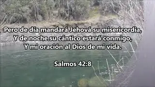 por que te abates-  Coros unidos (letra)