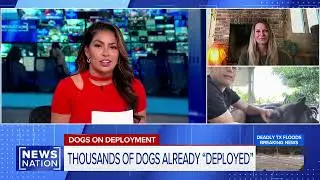 Dogs on Deployment Featured on NewsNation