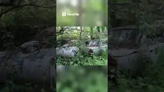 Mercedes Van Discovery  Amazing Old Cars Found!😎
