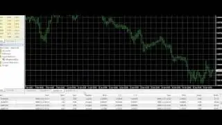 Forex Megadroid Pro Live Results - Week 8.mp4