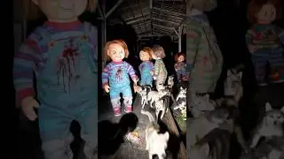 Real Haunted Dolls in Basement | #roo790k #horror #chucky