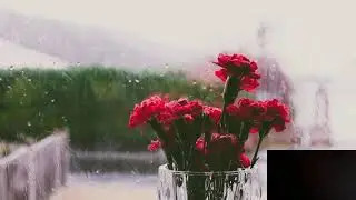 Red Flowers On A Vase With View Of A Rainy Day