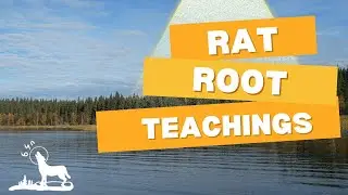Rat Root Teachings