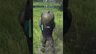 A Really Strange DayZ Encounter ...