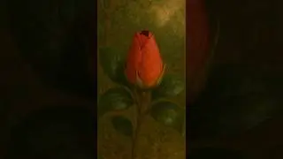 When the Flower Opens🌹#FairyTale #Camellia #FantasyMagic #Shorts #Bloom #moments