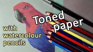 WATERCOLOUR PENCILS - Albrecht Durer Watercolor pencils on Strathmore toned blue mixed media paper