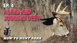 Aging and Judging Deer in the Field. How to Hunt Deer Ep. 4