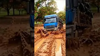 🐄 Truck Loaded with Cows Moves Through Deep Mud 💦 | #Shorts