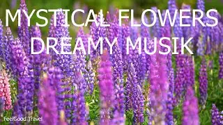 Mystical Flowers with Dreamy Musik