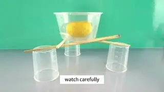 🥤🌉 Cup and Chopstick Bridges: A Simple Engineering Challenge!