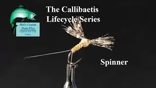 Callibaetis Lifecycle   Tying the Spinner