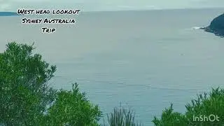 Sydney Trip .. lookout connections with nature 