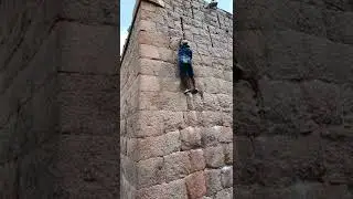 Monkey climbers Master