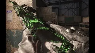 Unlocked TOXIC WASTE in COD MWR HMW Mod &ndash; Insane Stats Showcase!