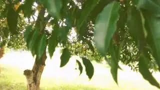 Rourkela Deer Park