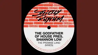 The Promise Land (The Voice Of The Godfather Mix)