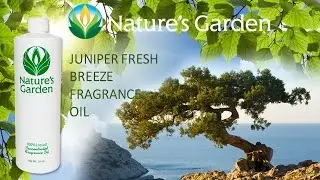 Juniper Fresh Breeze Fragrance Oil- Natures Garden