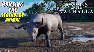 Aelfred's Battle Sow - ASSASSIN'S CREED VALHALLA PS5 Legendary Animal | PC | PS4 | Full Game