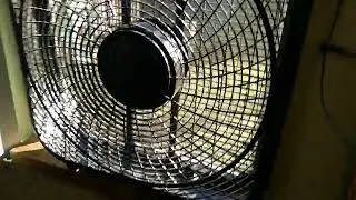 1st Fan Running Video Of 2026 1/12/2026