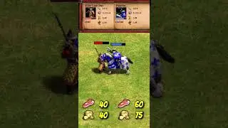 Elite Liao Dao vs Paladin | The Three Kingdoms | AoE2 #Shorts