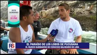 Pucusana: el mundo submarino del reconocido balneario de Lima