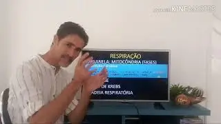 Processos Bioenerg&eacute;ticos