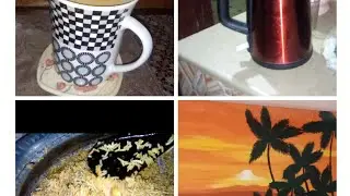 susrail me life update taff time life moment vlog