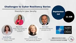 Diversity in Cyber Security
