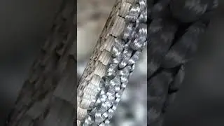 GI BINDING WIRE PVC COATED BINDING WIRE FENCING MESH RAZOR WIRE  #buildingmaterials