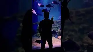 Marine Kingdom ❤️ | Madurai Betta Boy 🙏