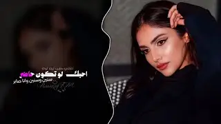 احبك لو تكون حاضر سنين وسنين وانا صابر | اغاني طرب تيك توك 2026 - مطلوبه اكثر شيء .