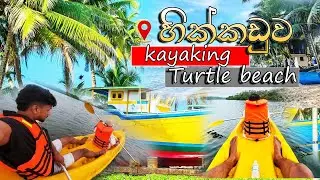 Hikkaduwa පාරාදීසය / Part 2  🌴🌊🐢 #kayaking  #turtlebeach  #turtles #hikkaduwa 