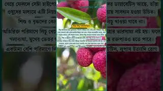 লিচুর কিছু পার্শ্বপ্রতিক্রিয়া | Some Side Effects of Litchi | Ajker Patrika