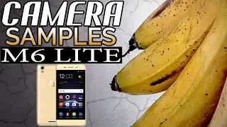QMobile M6 LITE CAMERA Test/Review/Samples - Best QMobile Camera Phone (1080p)