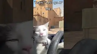 CS2 #cs2 #counterstrike #shortvideo #shorts #csgo #csgofans #catmemes #fps #funnyshorts