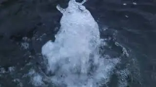 Interactive Water Feature