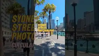 Street Photography in Circular Quay #streetphotography #shorts #pov