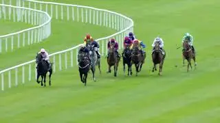 Romanised (Holy Roman Emperor) - Gr.2 Minstrel Stakes
