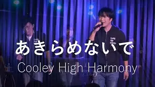 [Don't Give Up] Cooley High Harmony - Cooley High Harmony // 2024.10 // CASHBOX