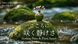 2 Hours Peaceful Piano & Forest Ambience | Sleep, Meditation, Stress Relief