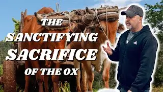 The Sanctifying Sacrifice Of The Ox | Ezekiel and the Cherubim (Part 10) - Glen Vines