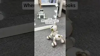 Ruko 18011 robot dog is intelligent and cute!#ruko #robot #robotics #toys #funny #excavator