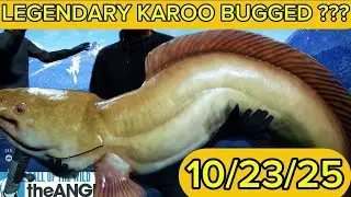 Karoo Mermaid Is The Legendary Fish Active This Week 10/23/25 - Call Of The Wild : The Angler