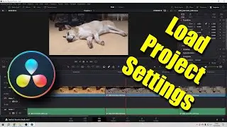 Load Project Settings To Current Project in DaVinci Resolve