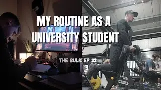 How I manage University and Bodybuilding | The Bulk Ep 31